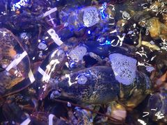 -盒马鲜生(大成店)