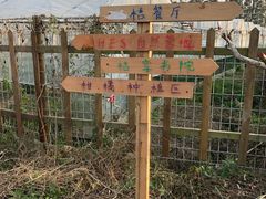 -前小桔亲子创意农场·草莓采摘·露营烧烤