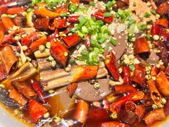 -向川南·水煮鱼·川菜(和平里店)
