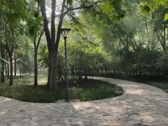 -金星公园
