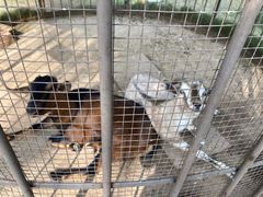 -西双版纳融创皇冠假日度假酒店