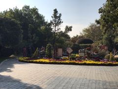 -菊花台公园