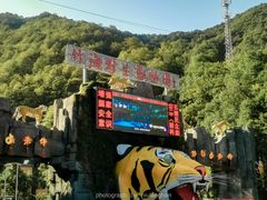-栾川竹海野生动物园