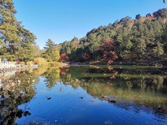 -香山公园