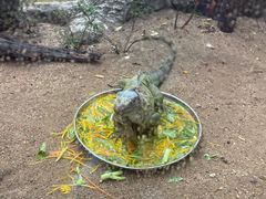 -清迈夜间动物园