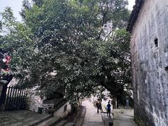 -塔川景区