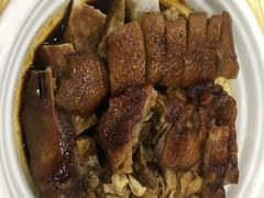 -广宁炭炉鸡煲·富临门饭店