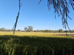 -长兴太湖图影湿地文化园