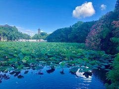 -阿杰臻选海鲜饭店(普陀山店)