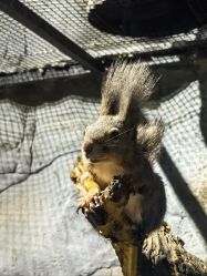 -Zoolung Zoolung动物主题公园(海信广场店)