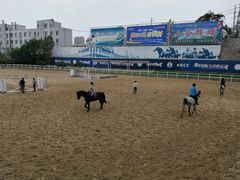 -大连凯洋马术俱乐部有限公司
