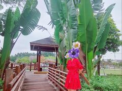-海珠儿童公园