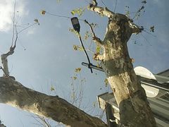 -CAFE CHEZ W一木家(香山路店)