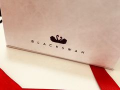 -BLACKSWAN黑天鹅(环球店)