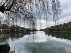-上海怡沁园度假酒店