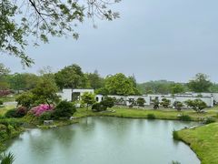 -扬二春炒饭(国庆路总店)