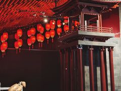 -隋唐大运河文化博物馆