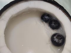 椰子冻-泉龙渔村·粤式早茶·金牌烧鹅(中山三乡店)