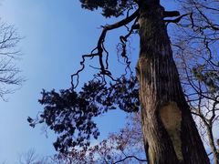 -终南山南五台景区