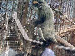 -昆明动物园