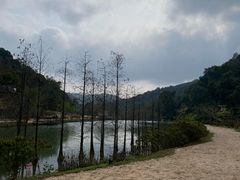 -世间香境·七溪地