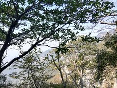 -罗田天堂寨风景区
