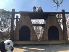 -桤木河湿地公园