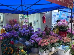 -东川新街市(东川市场店)