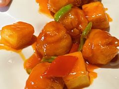 -圆苑(静安寺店)