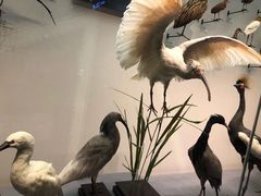 -天津自然博物馆