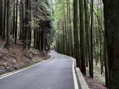 -山王坪喀斯特国家生态公园