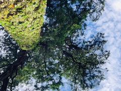 -北京上方山国家森林公园