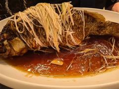 -津菜典藏河西店(水上店)