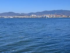 -洱海月湿地公园