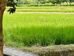 -光明小镇欢乐田园