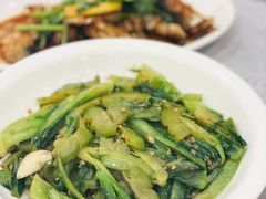 豆豉凉瓜麦菜-粤·向群饭店(龙津东路总店)