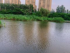 -前关湿地公园