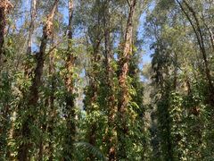 -华南国家植物园-售票处