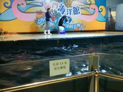 -洛阳龙门海洋馆