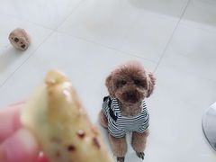 -刘纪孝腊牛羊肉(北广济街店)
