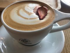 -ZING COFFEE 镜咖啡