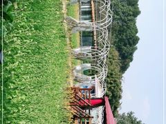 -洪湖家庭农场·团建·露营·会议