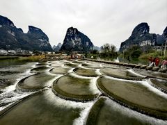 -明仕田园