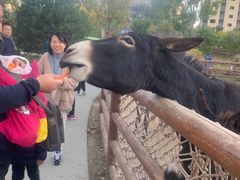 -太原动物园