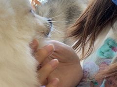 -怪兽屋·羊驼·猫咖·狗咖(俊华广场店)