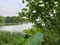 -阳澄湖费尔蒙酒店