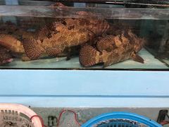 -香港仔鱼市场二合海鲜餐厅