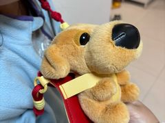 -麦当劳(嘉定店)