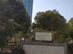 -华西村