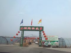 -田趣农庄草莓采摘园